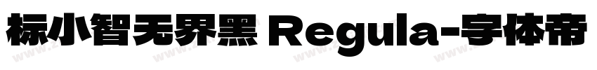 标小智无界黑 Regula字体转换